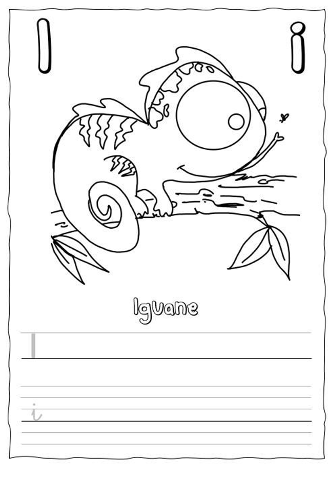 Page de la lettre "I" du livret "L'abécédaire des animaux"